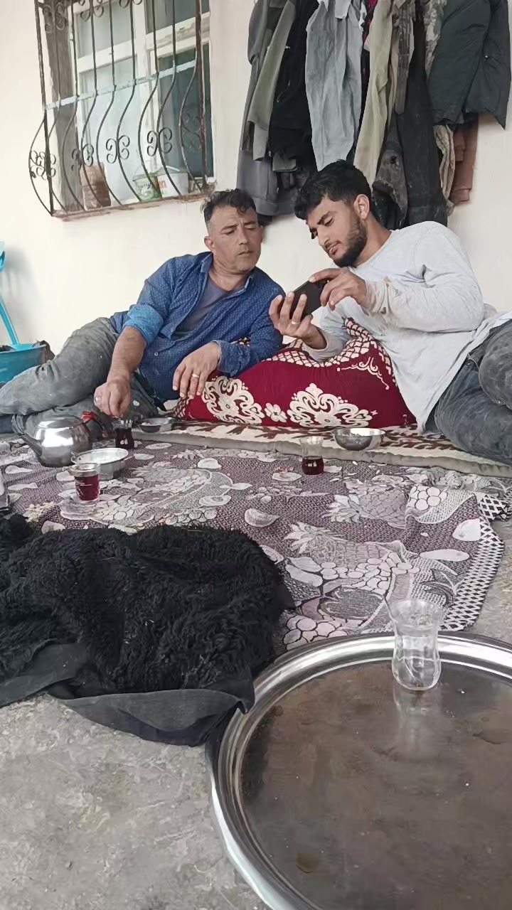 @ibo buzağıcı