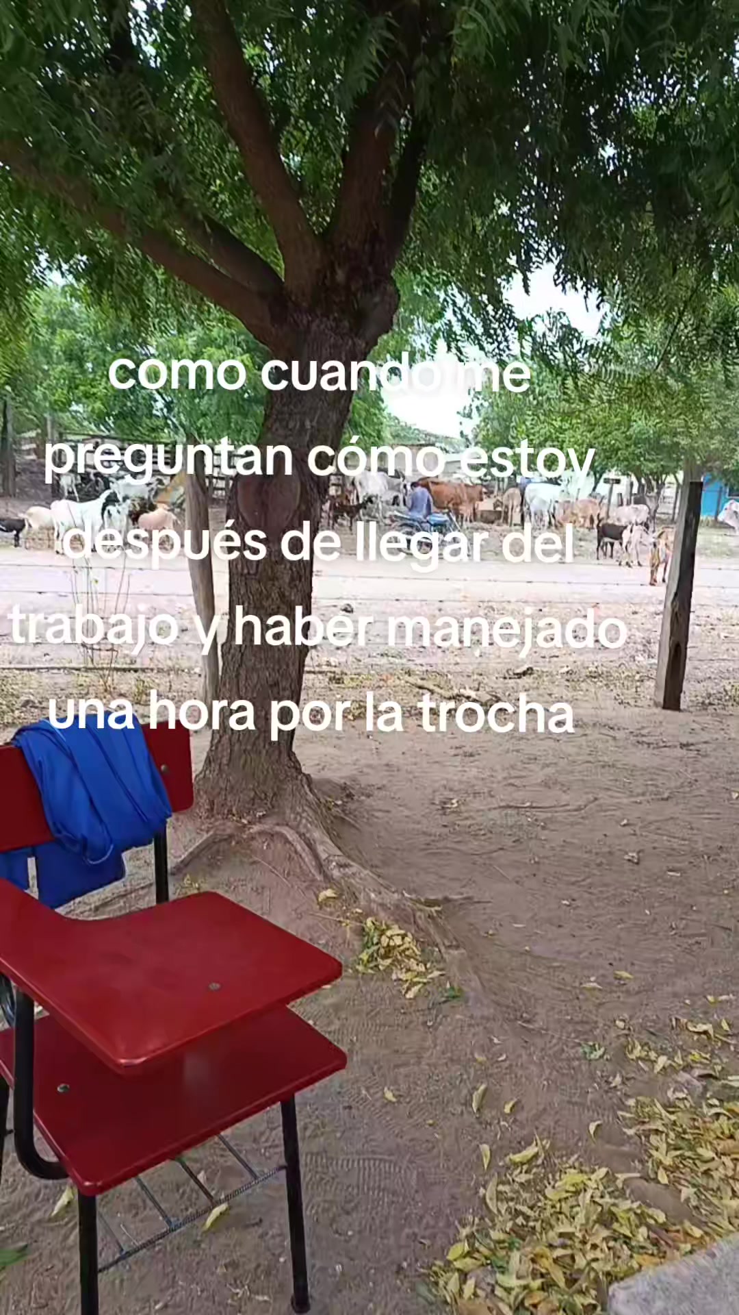 @susy123