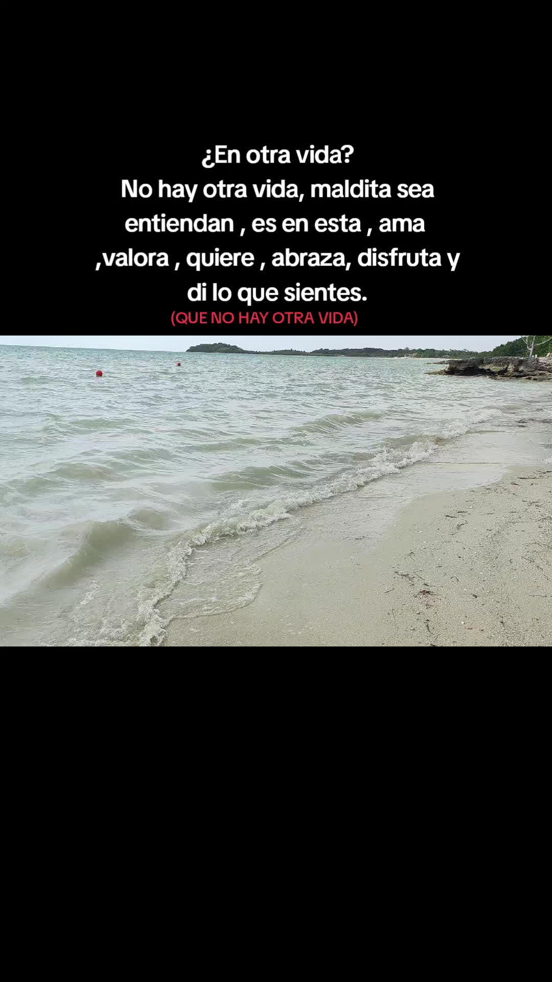 @YoSoyFrancisss🐺