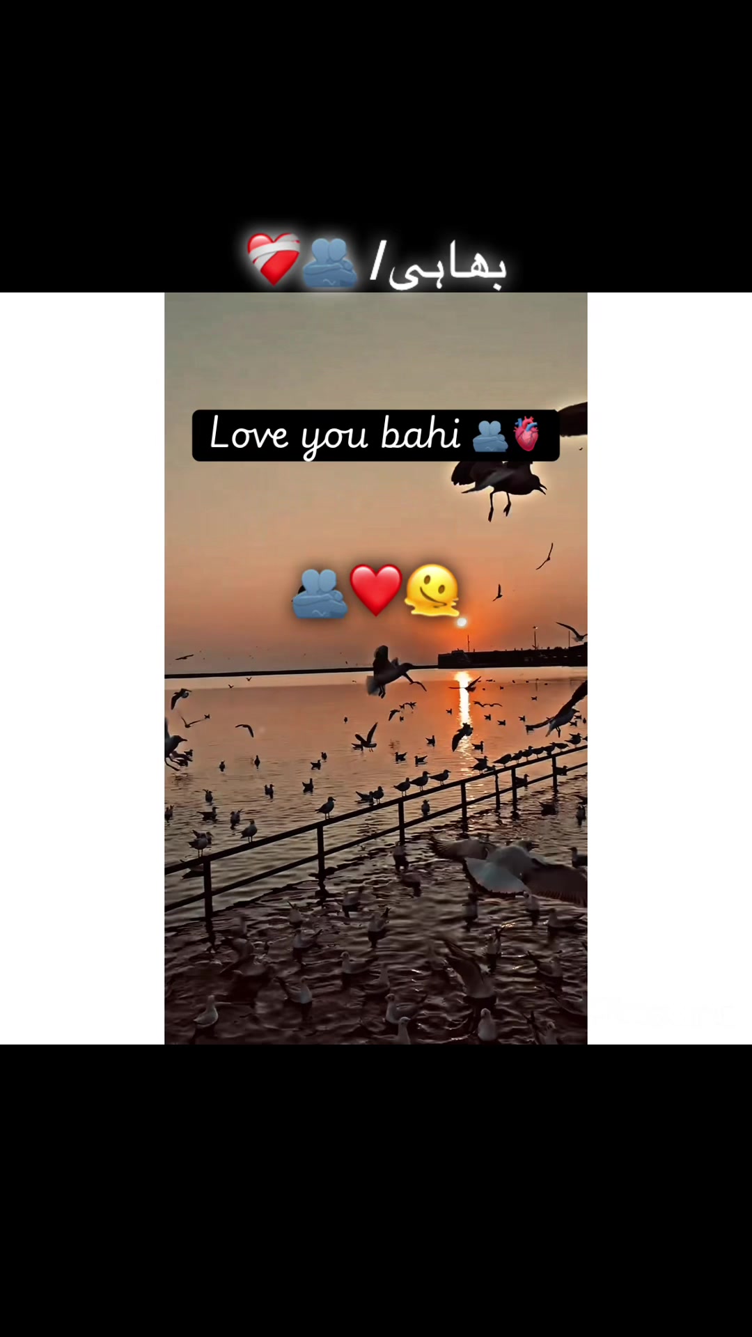 @صاحب 🍁🏴&zwj;☠️🚩