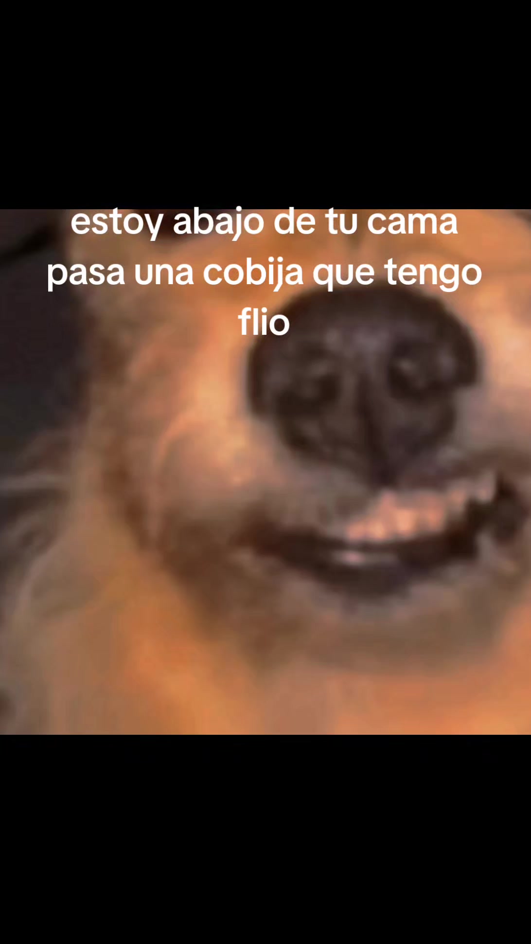@chocomil