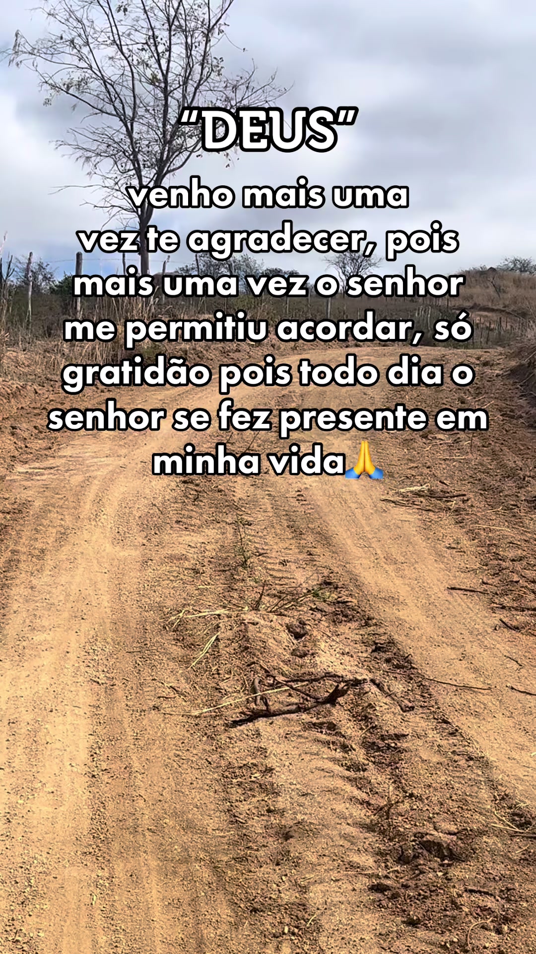 @CICERO