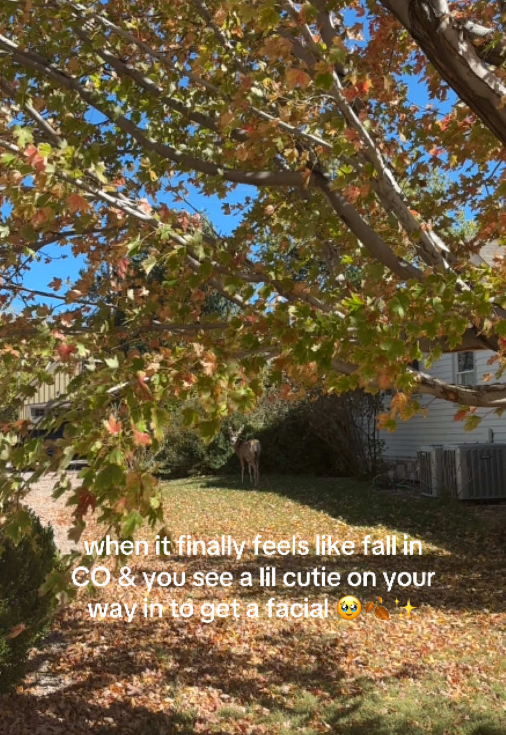 @hannah