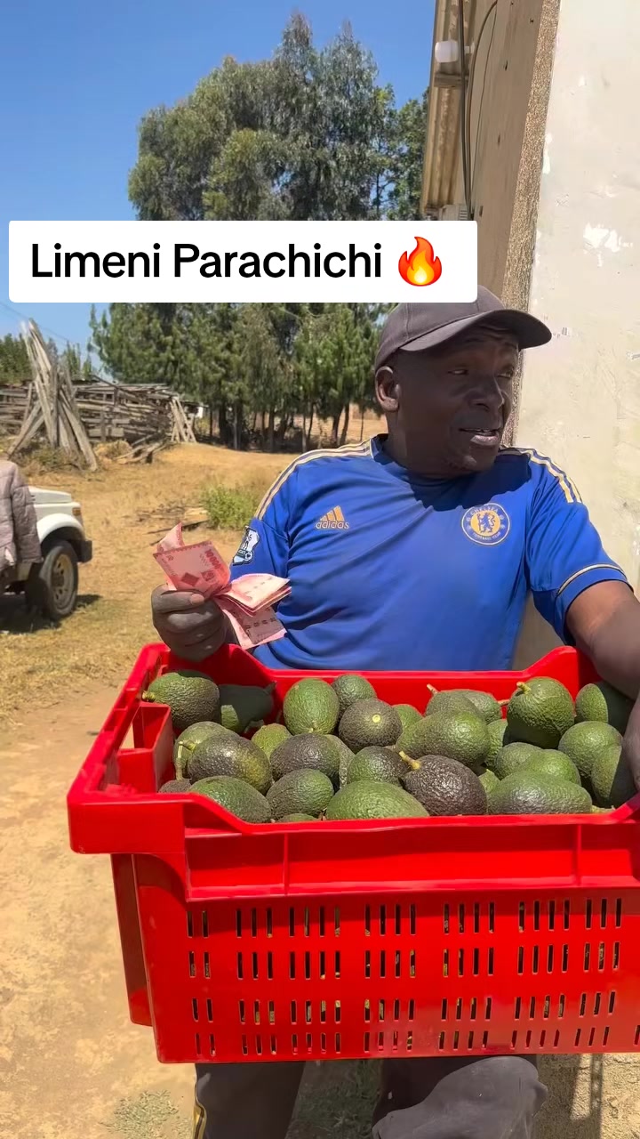 @Kilimo Biashara