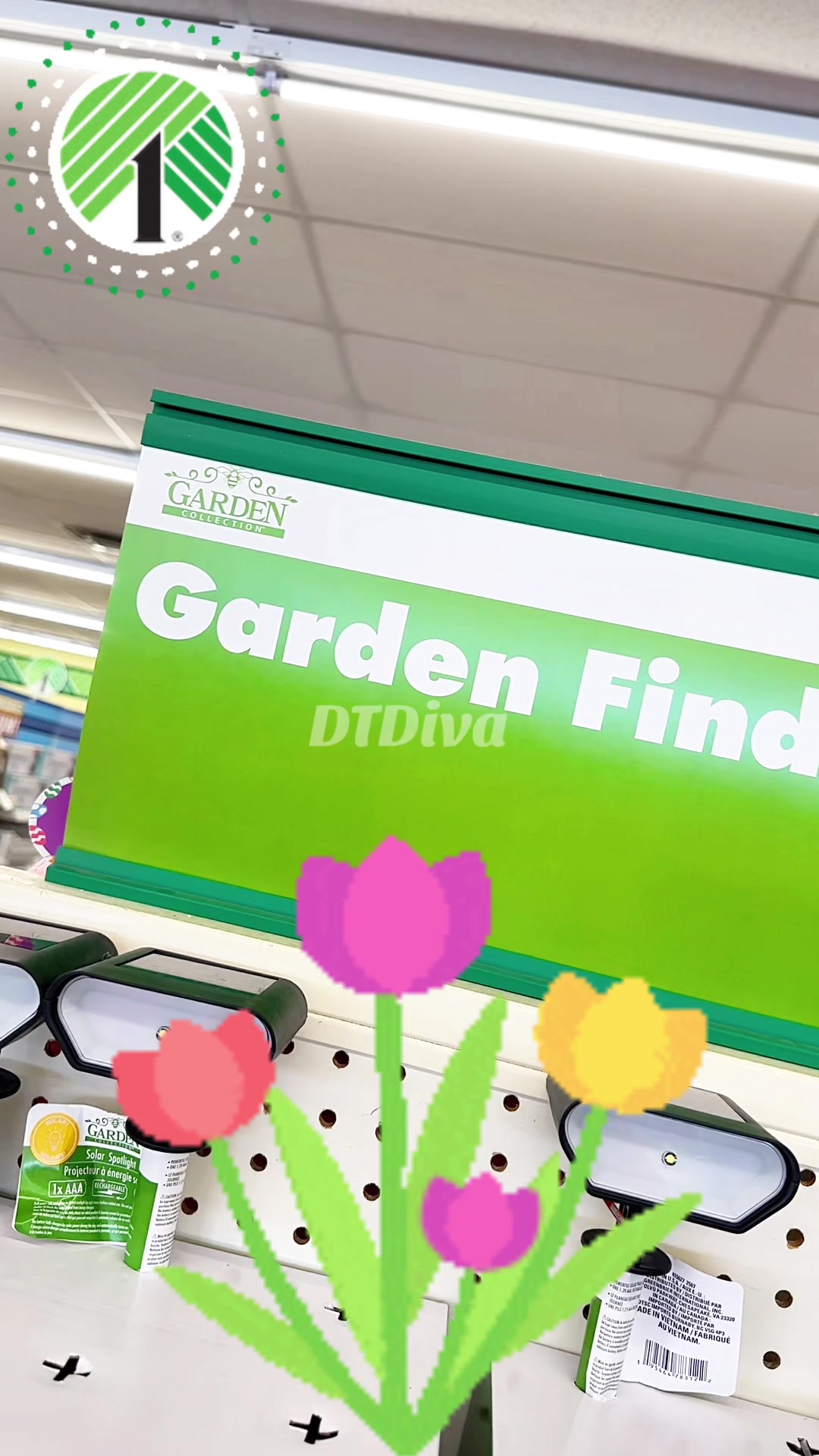 @Dollar Tree Diva