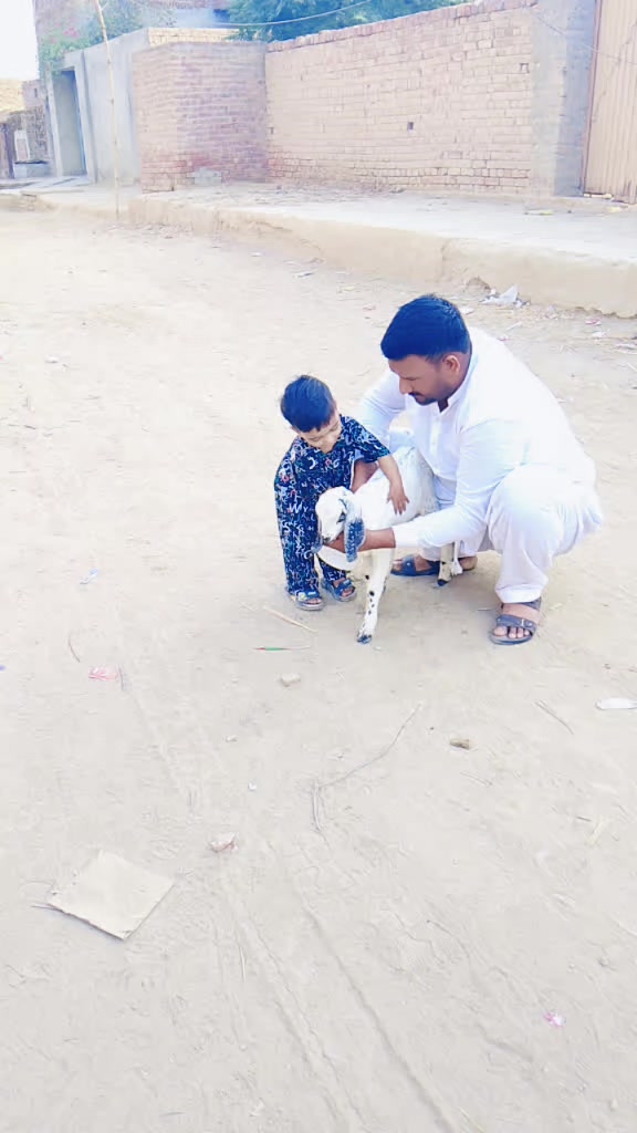 @s imran