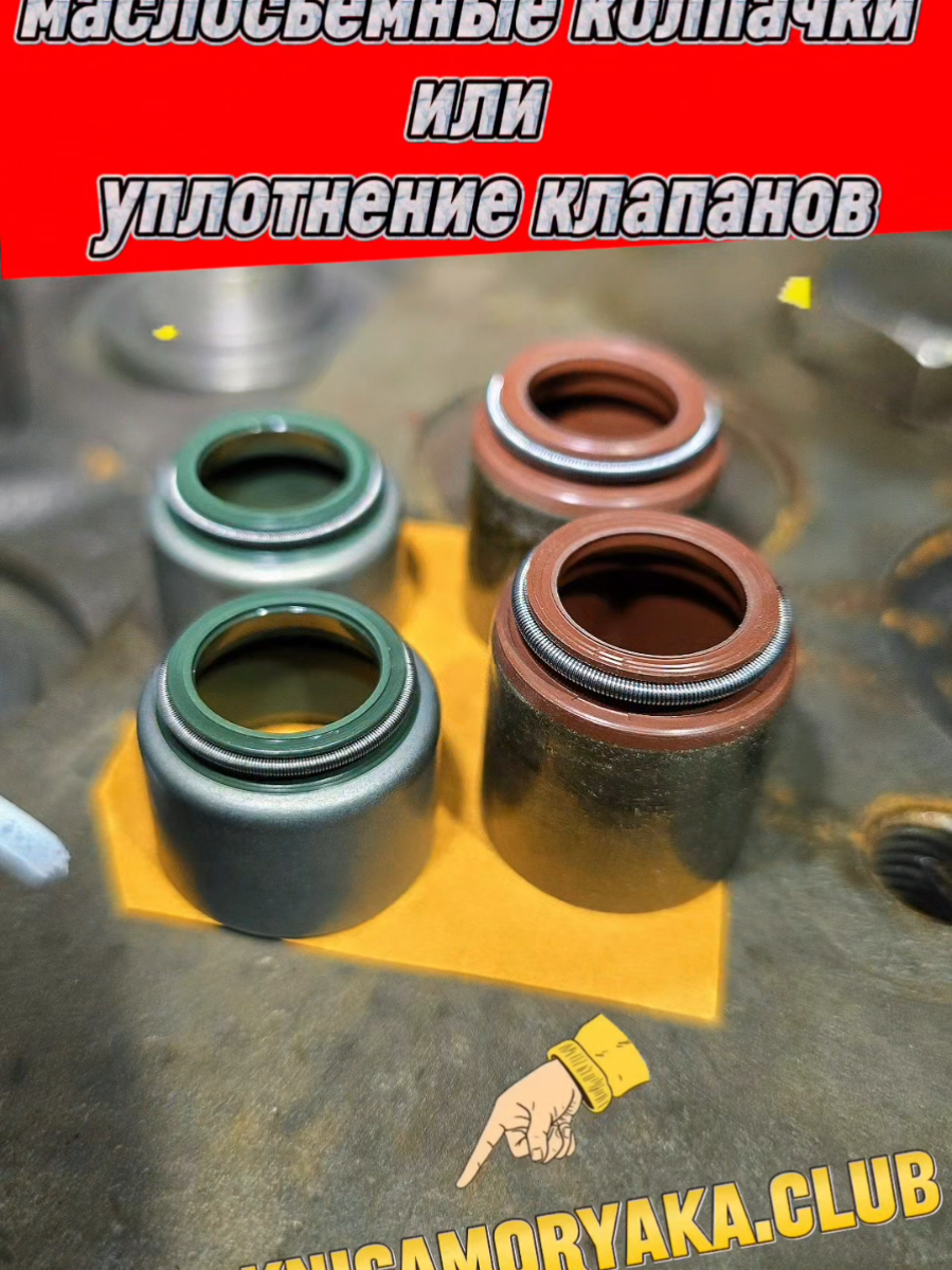 @kniga_moryaka