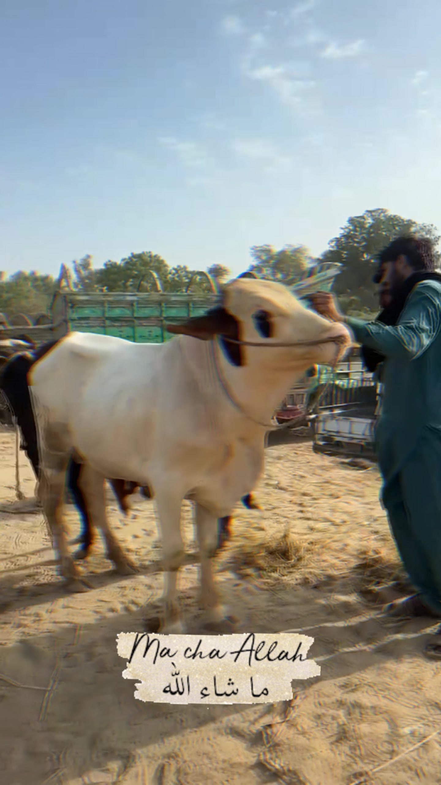 @Ali Akhtar