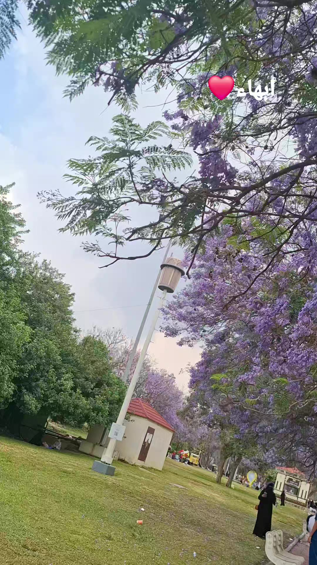 @ᥫ᭡𝓂
