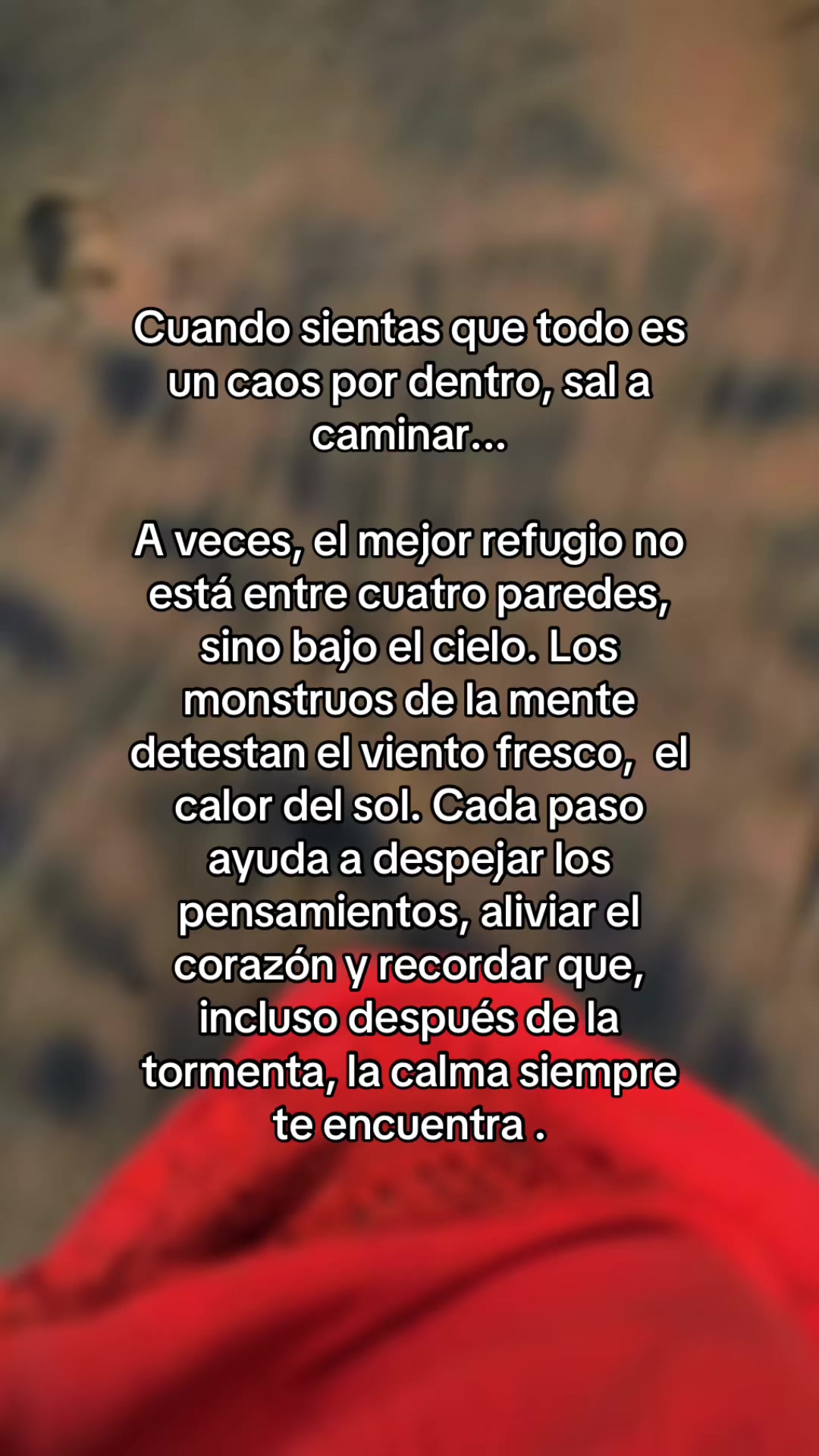 @Fabiola Castañeda520