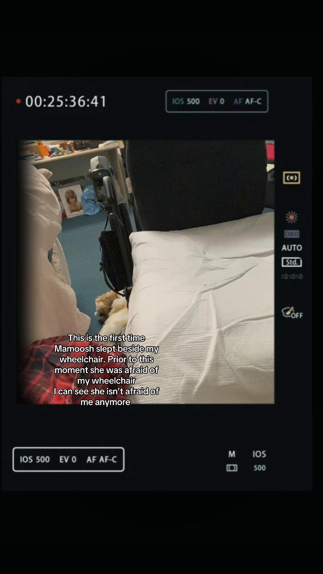 @SmileySarah32 🤡