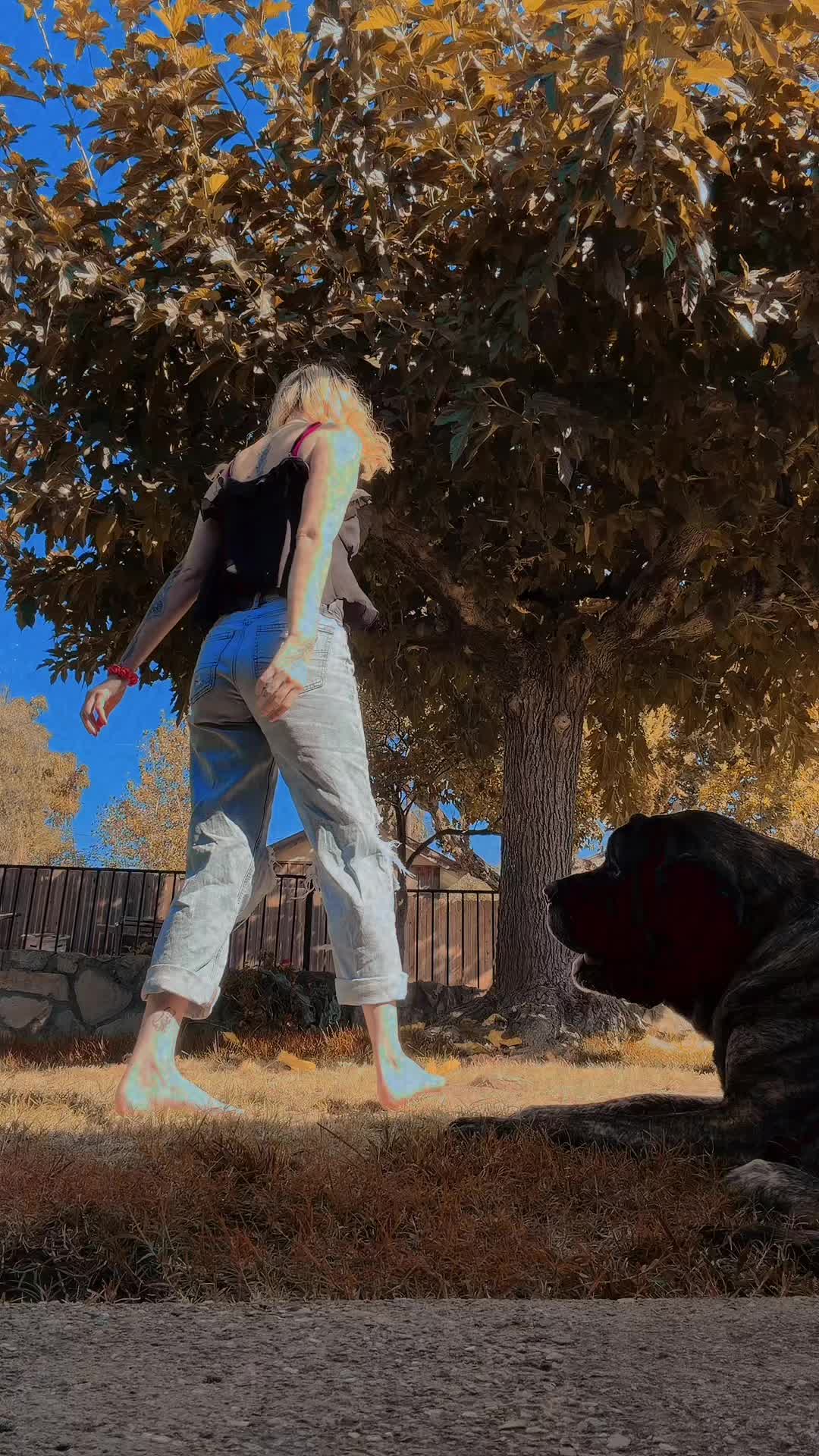 @Spicyscorpio