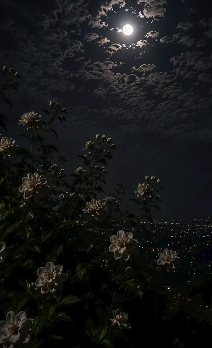 @ŚÚĶOñ_È_QÀŁB