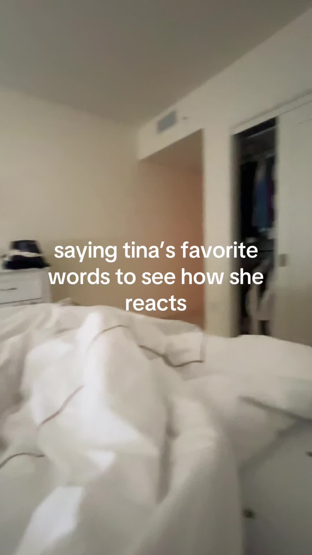 @catushca