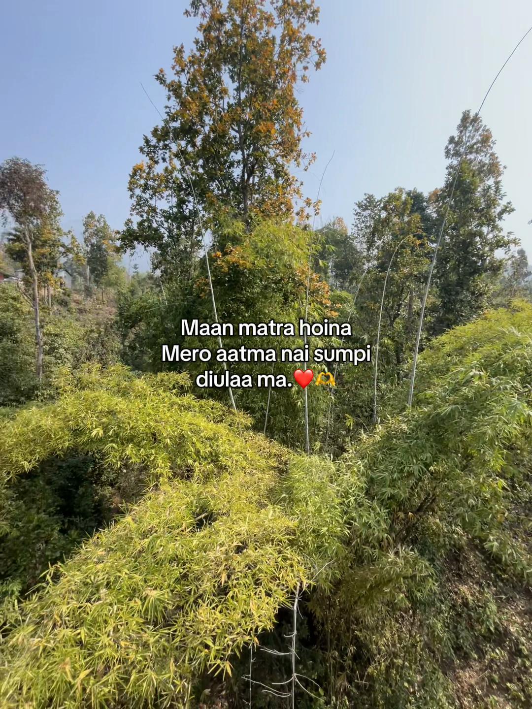 @डिकेन्द्र.❤️