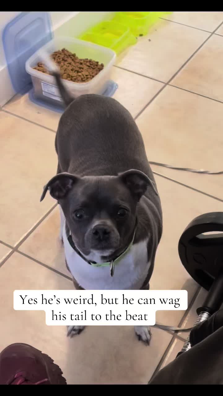@ravioli.linguini