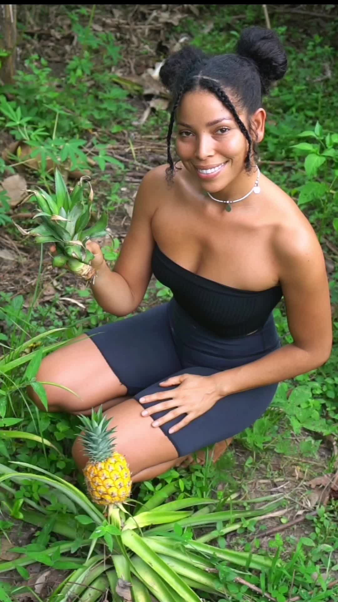 @Monte.sientovivo