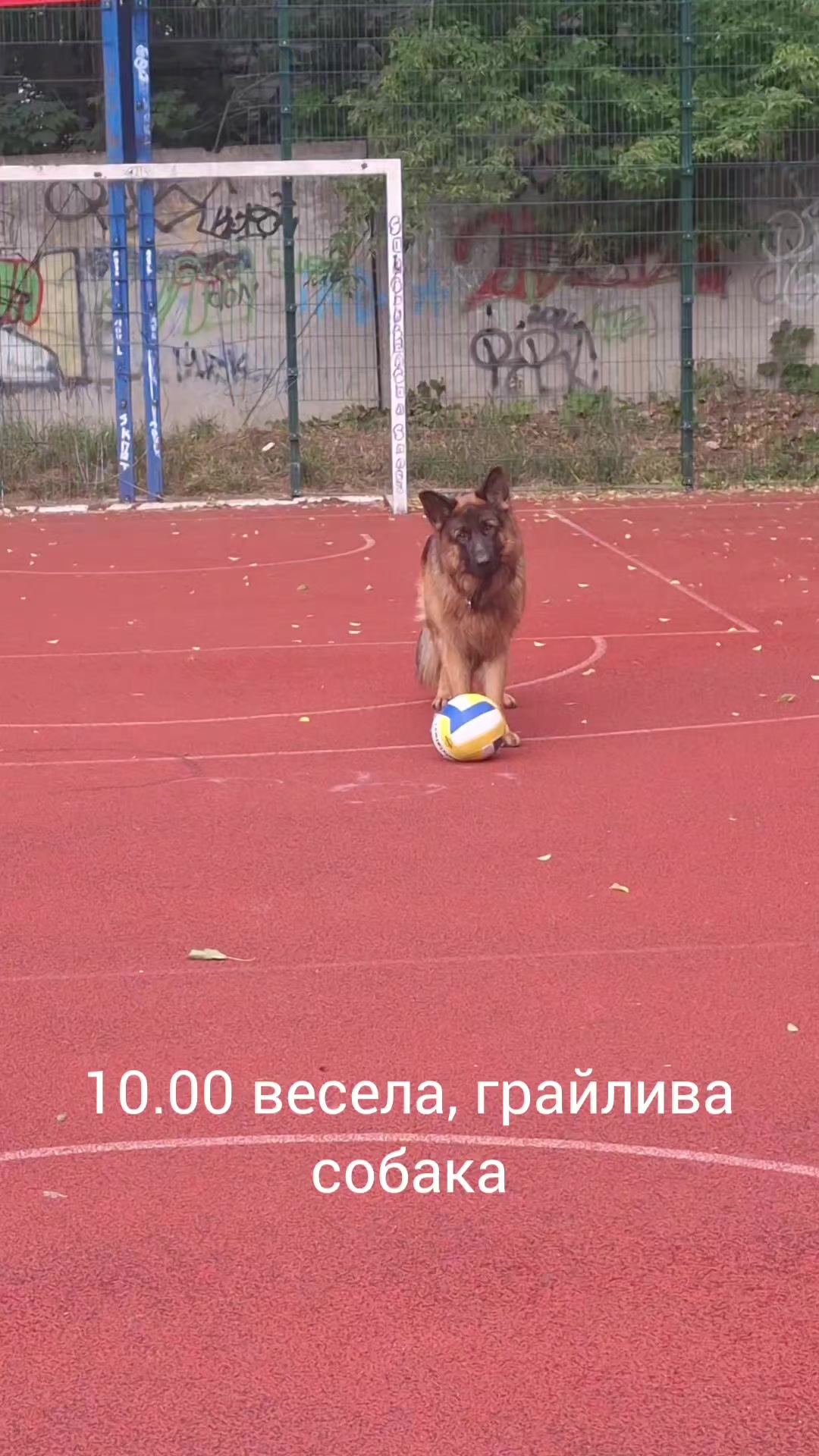 @МАТЬ ДРАКОНІВ🤣