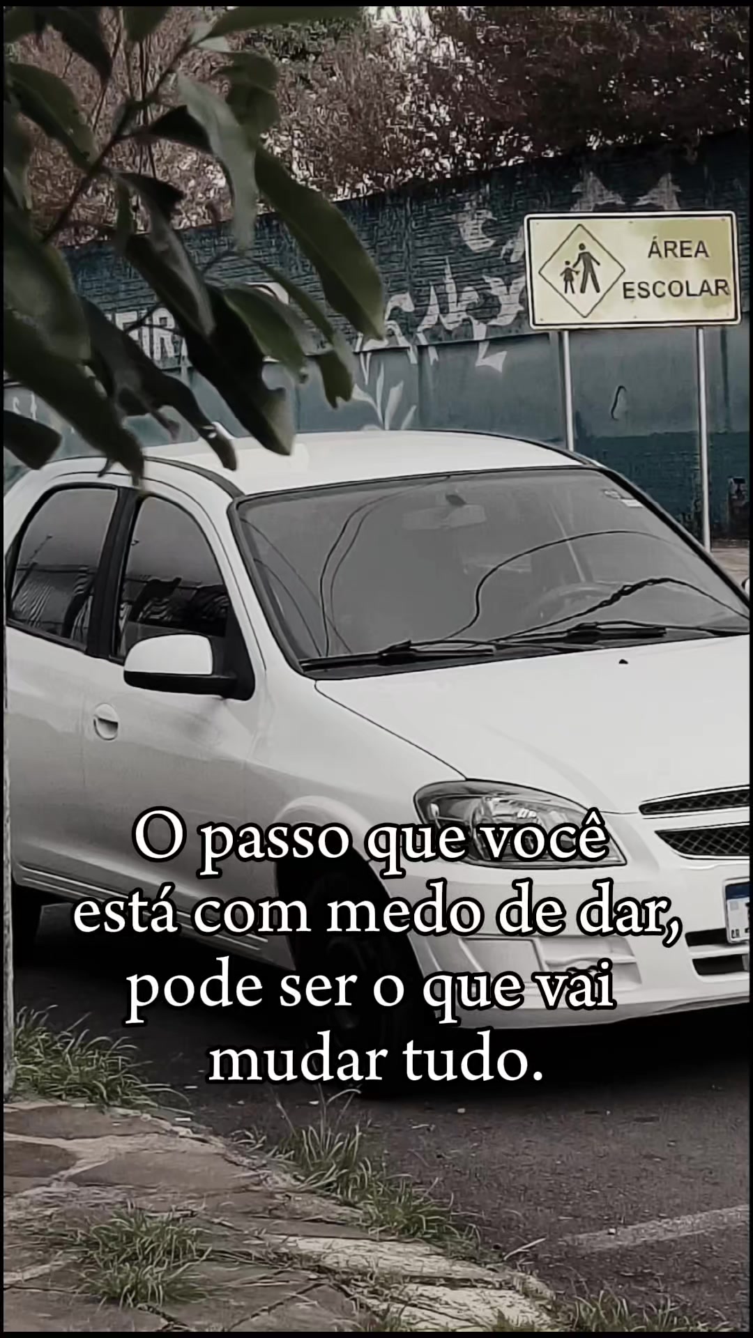 @Celtoso