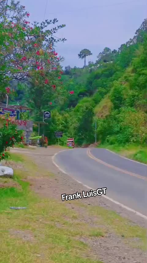@FRANK LUIS GT