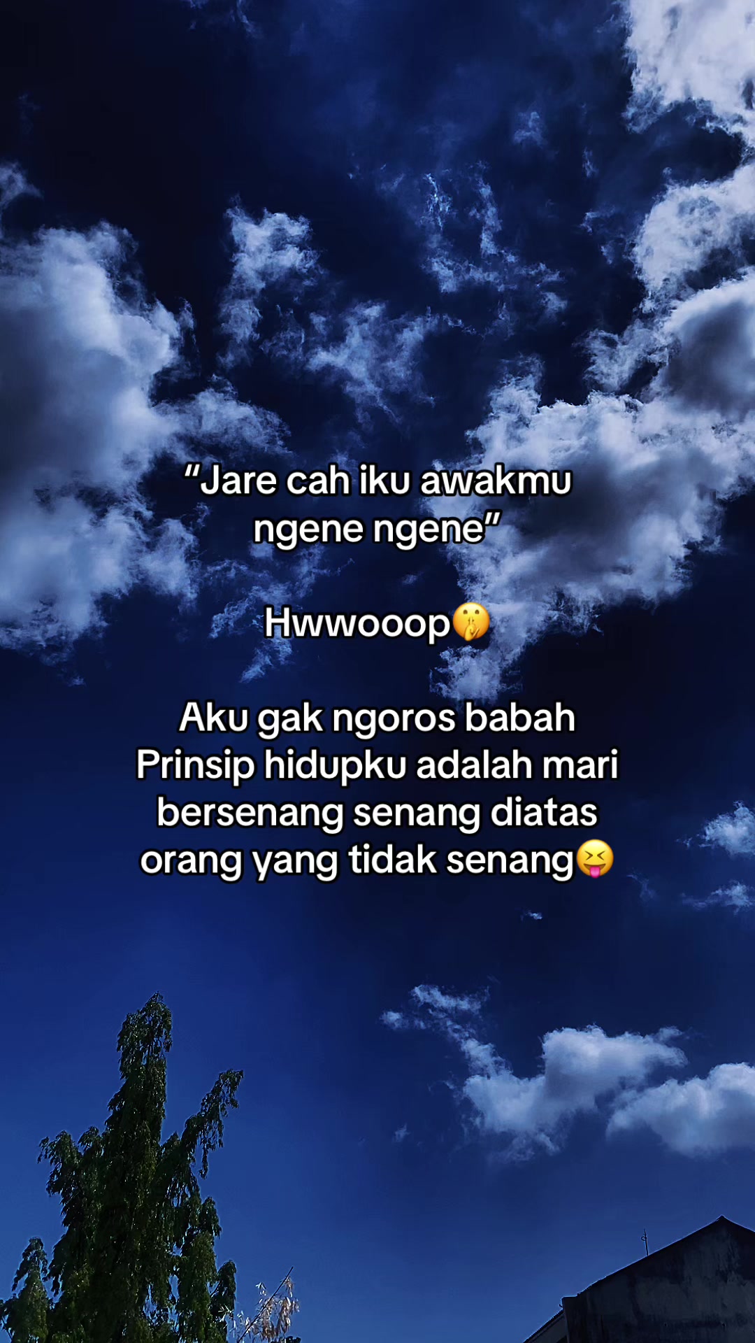 @๐๐๐ข_๐๐
โ๏ธ๐พ