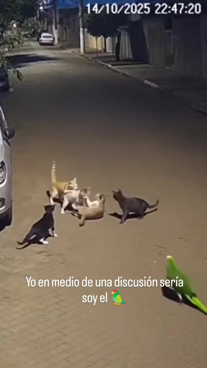 @Ｅｌ Ｂｅｂｏｚ