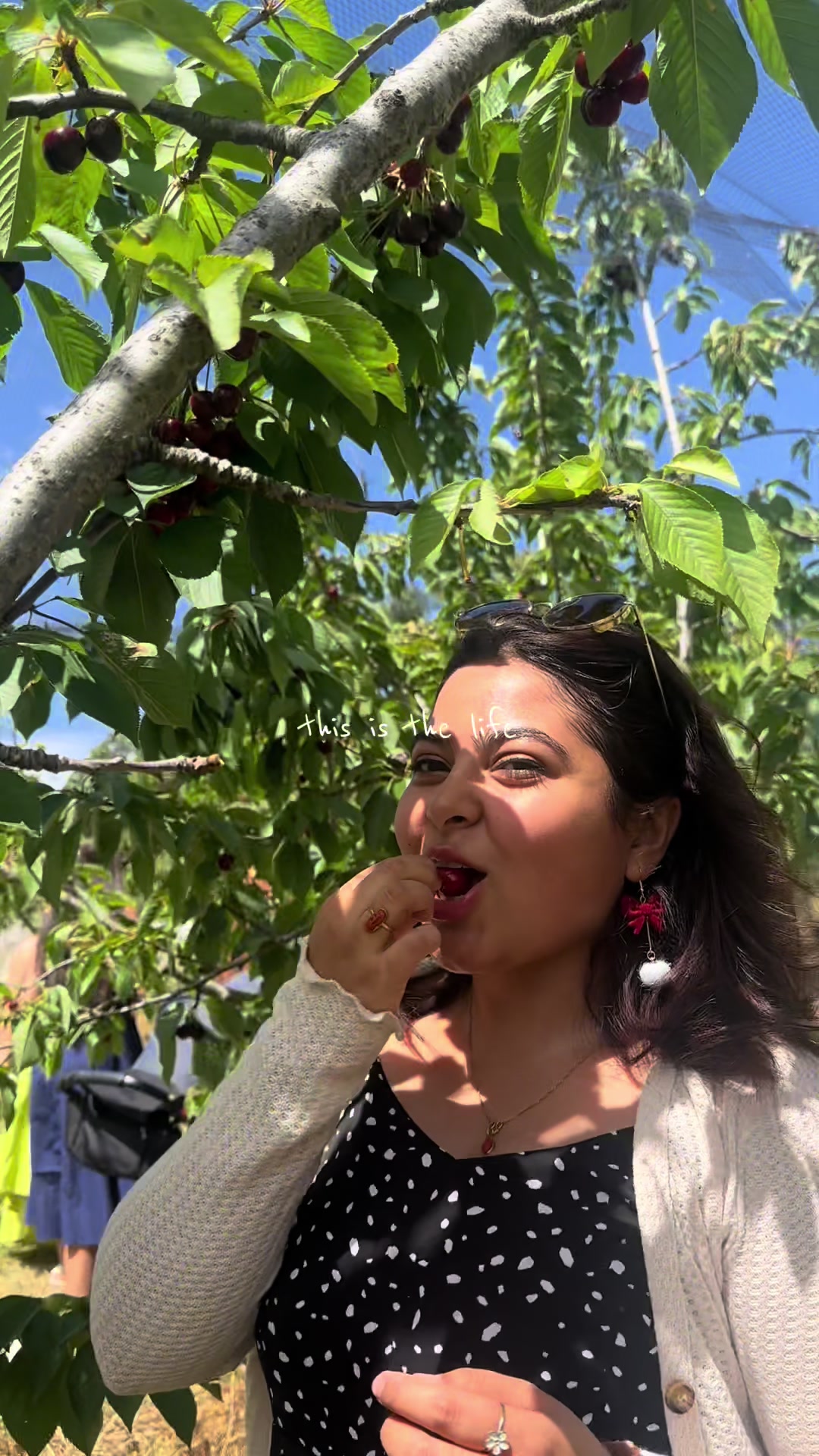 @Lifeofappu