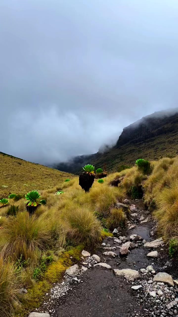 @HikinG_GiantS