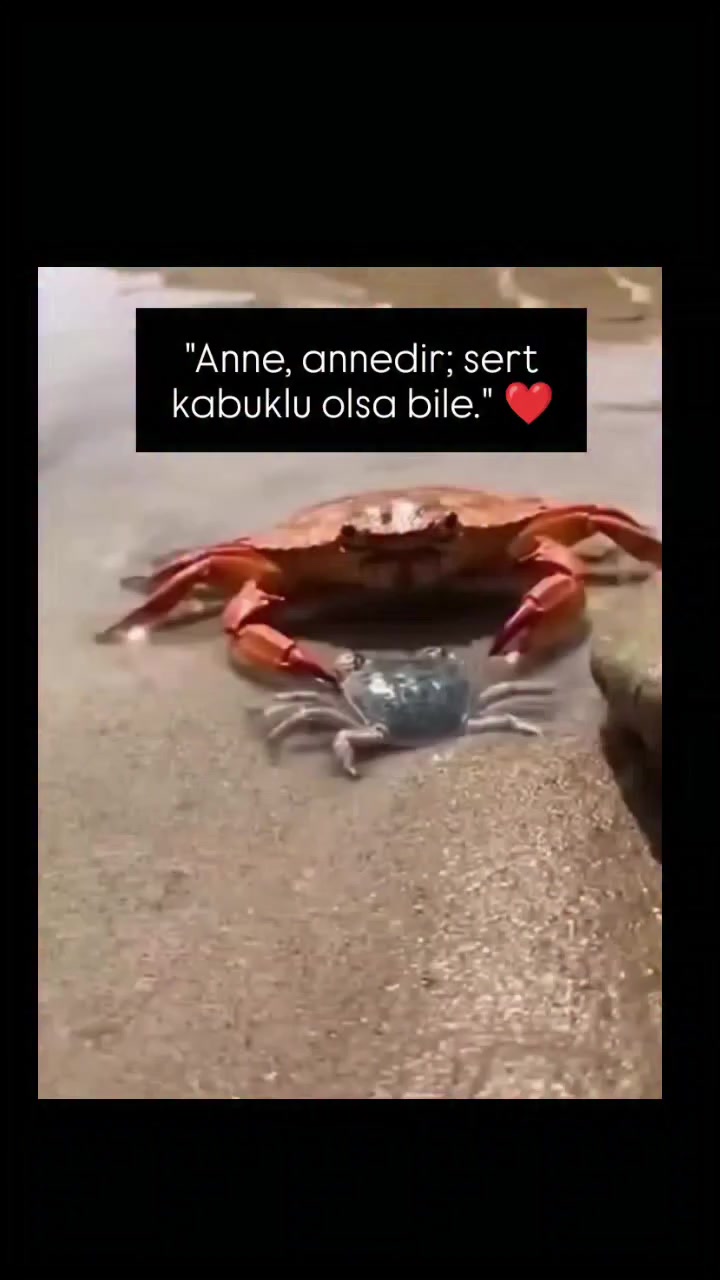 @ben feroo🖐️