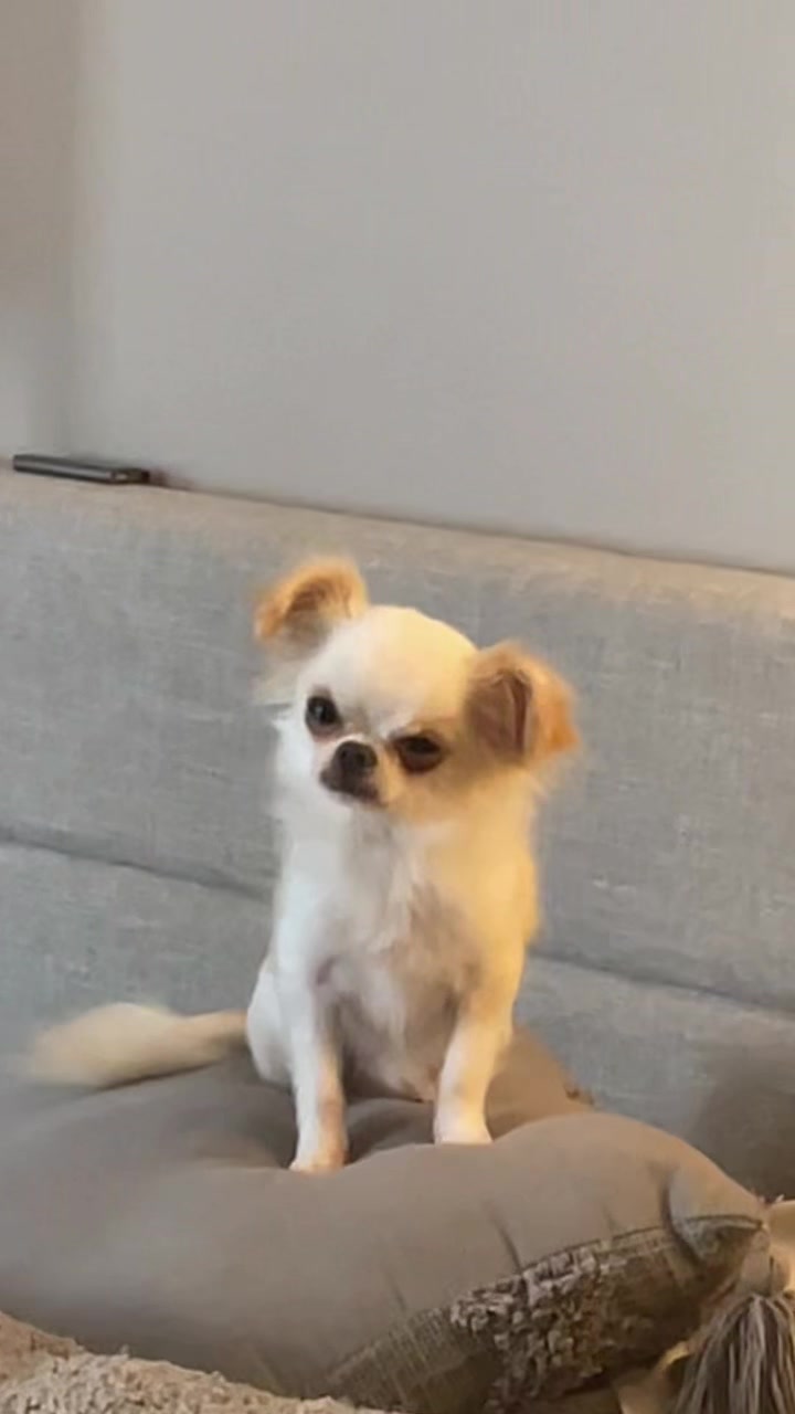 @Stuey & Louie