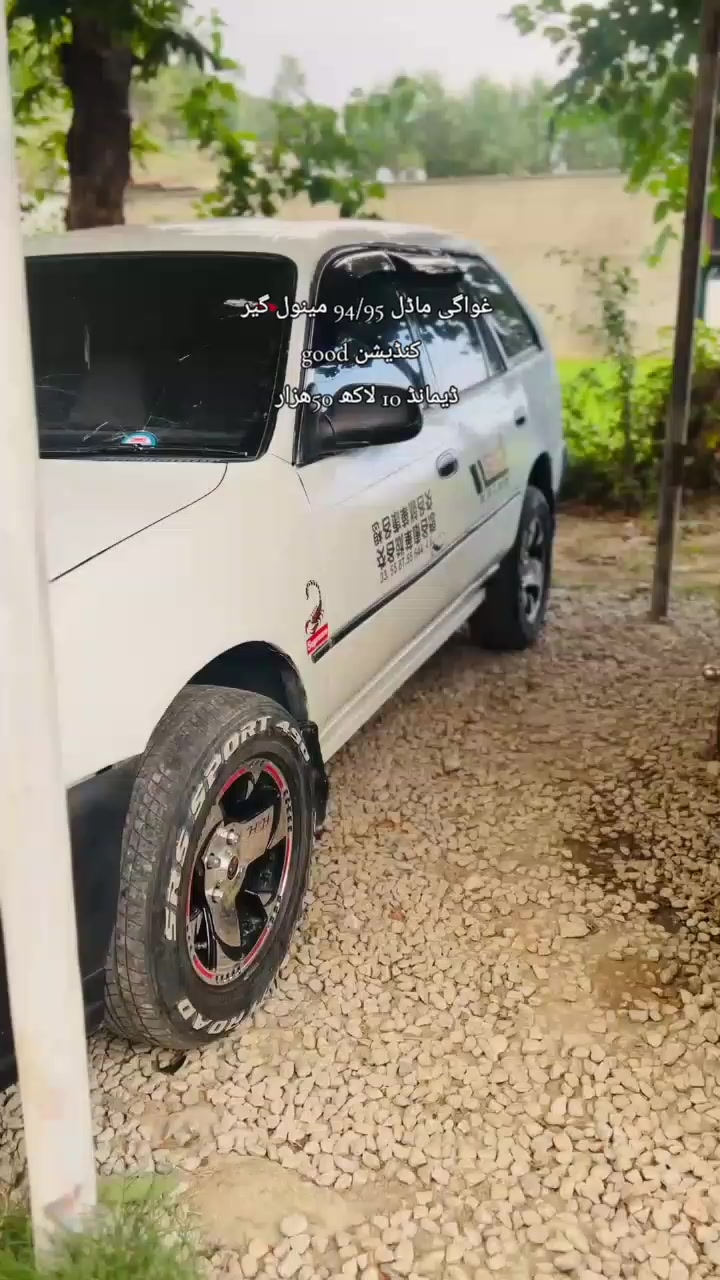 @ncpcarlover1