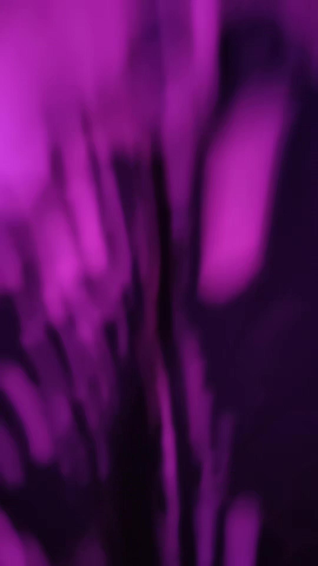 @user77270400480