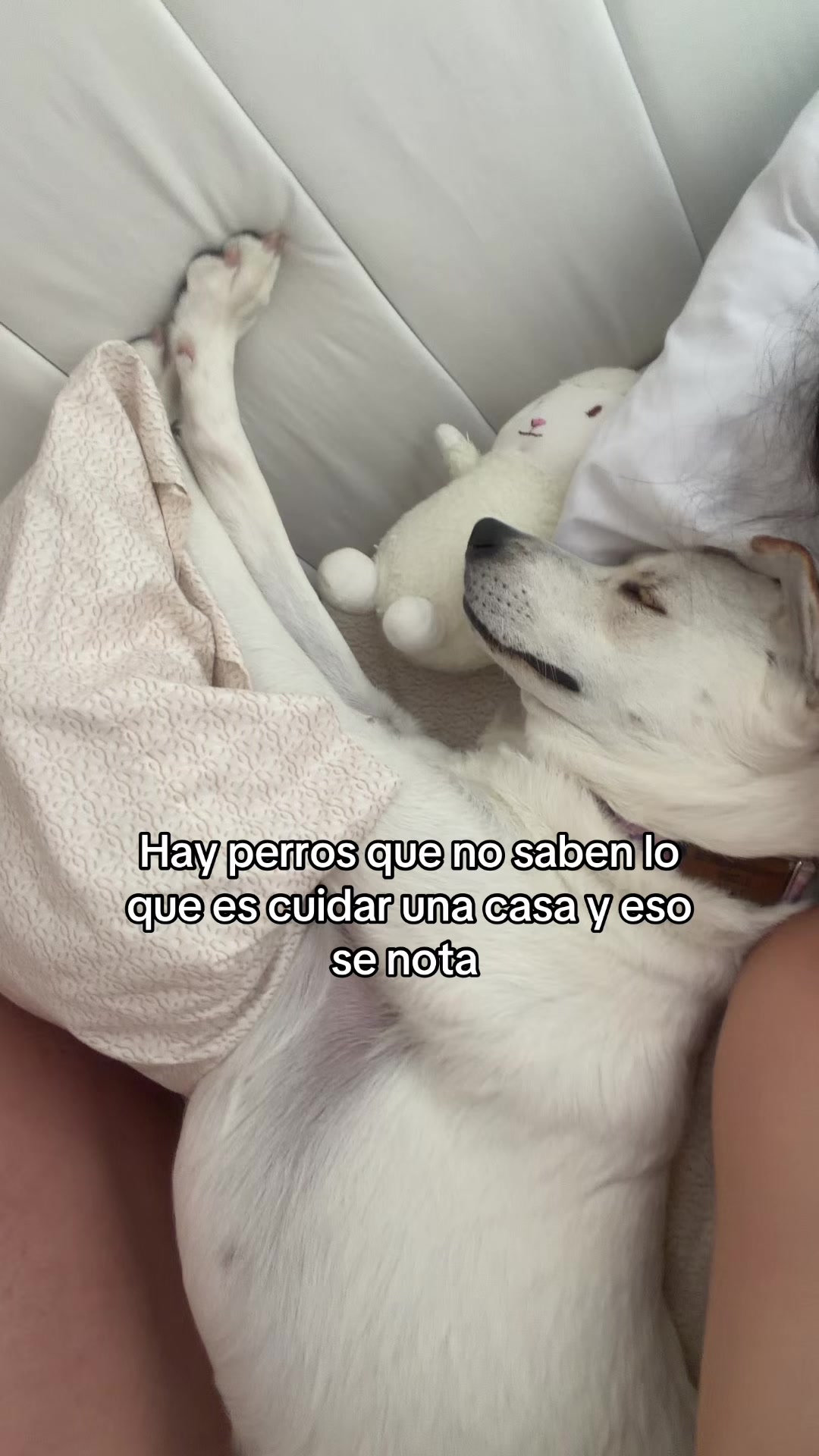 @Sara Reyes