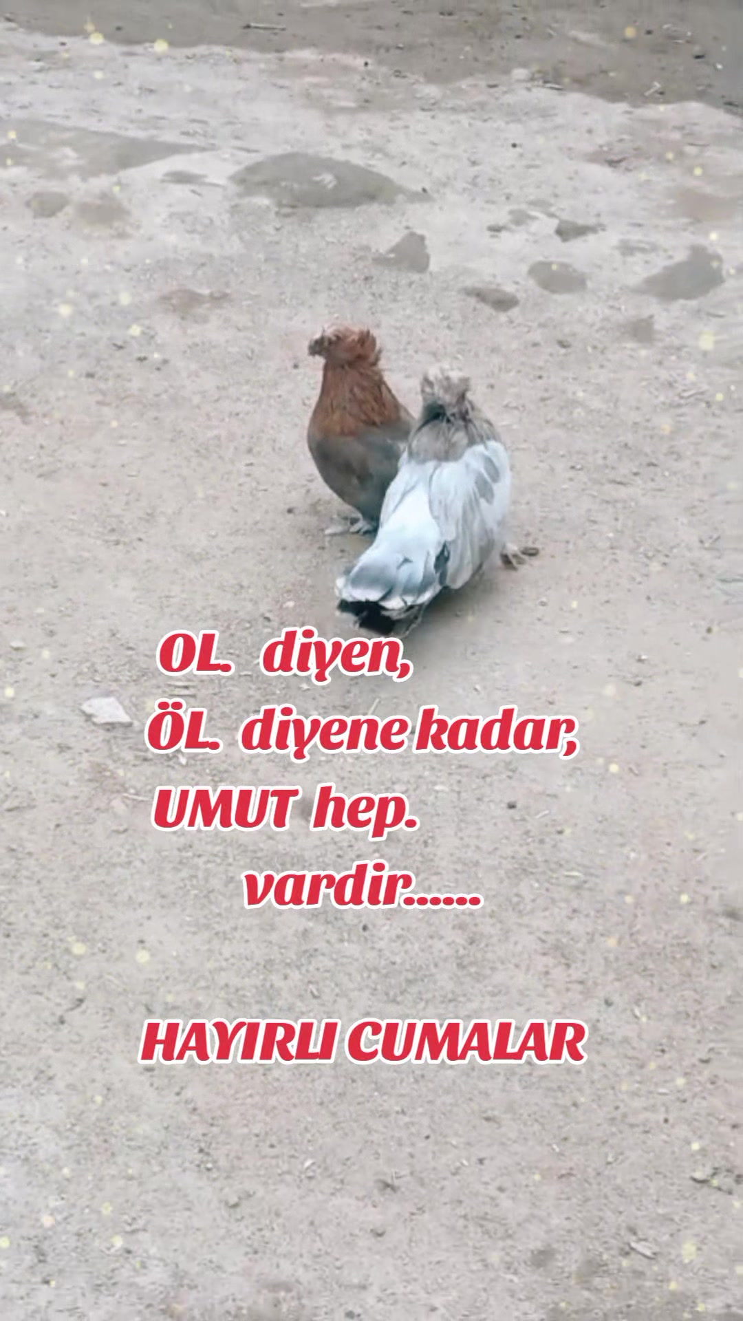 @ümüt dünyası
