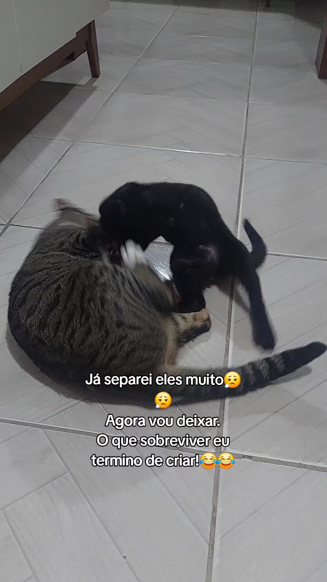 @Luci