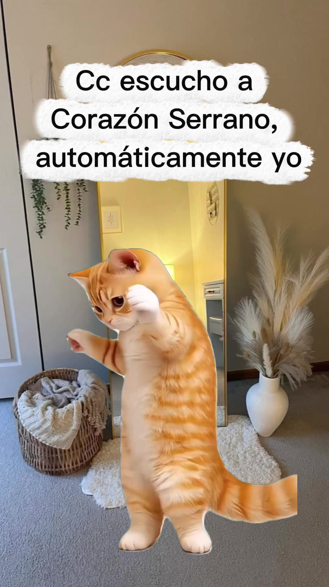 @โ๐ ๐ฆ๐ค๐ค๐๐ฆ๐ป
