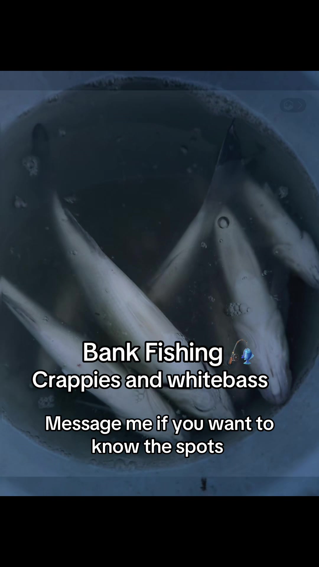 @Dave’s Lazy Baits
