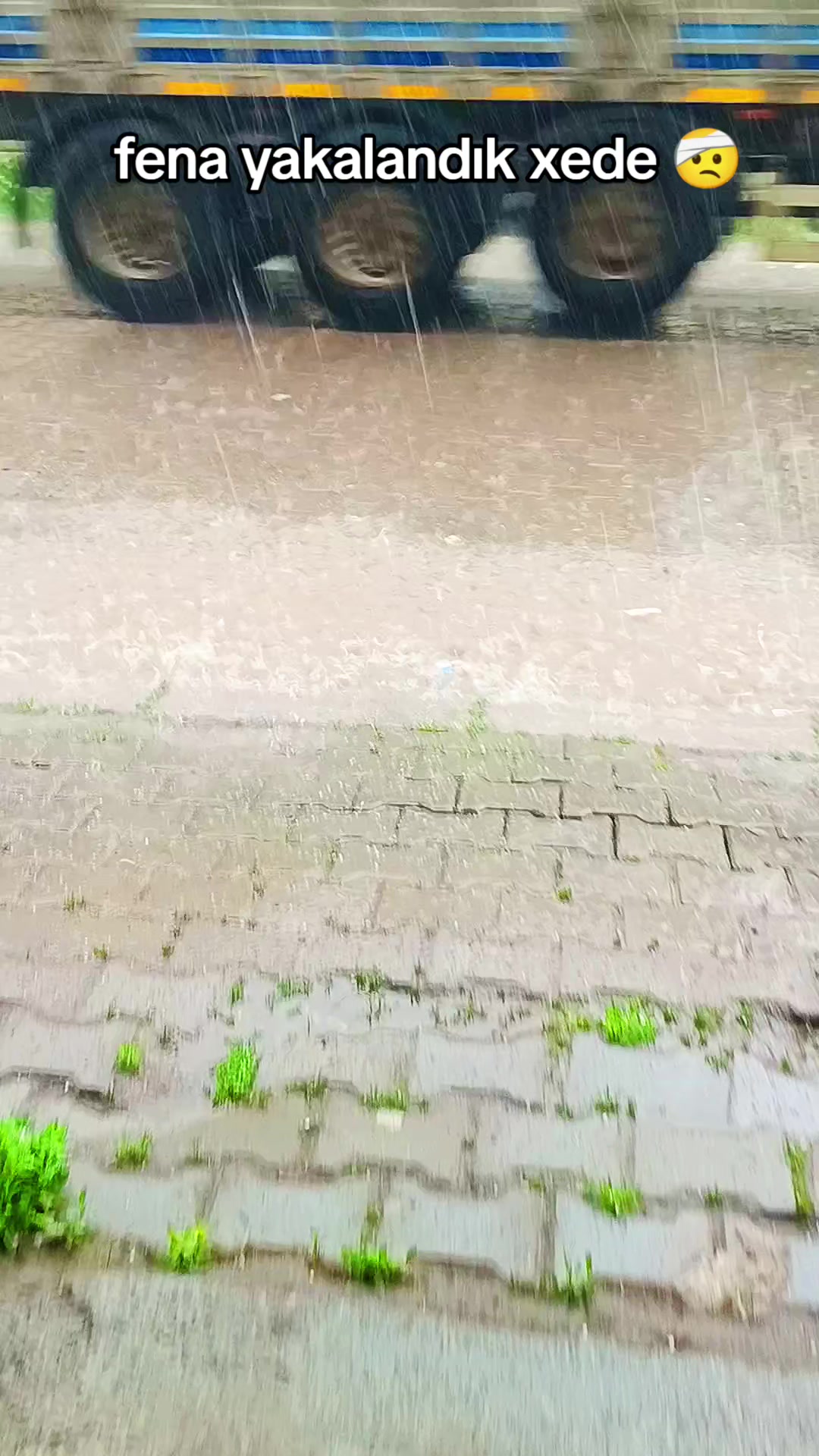 @@ Keça kurda 49 bulanıksayfası