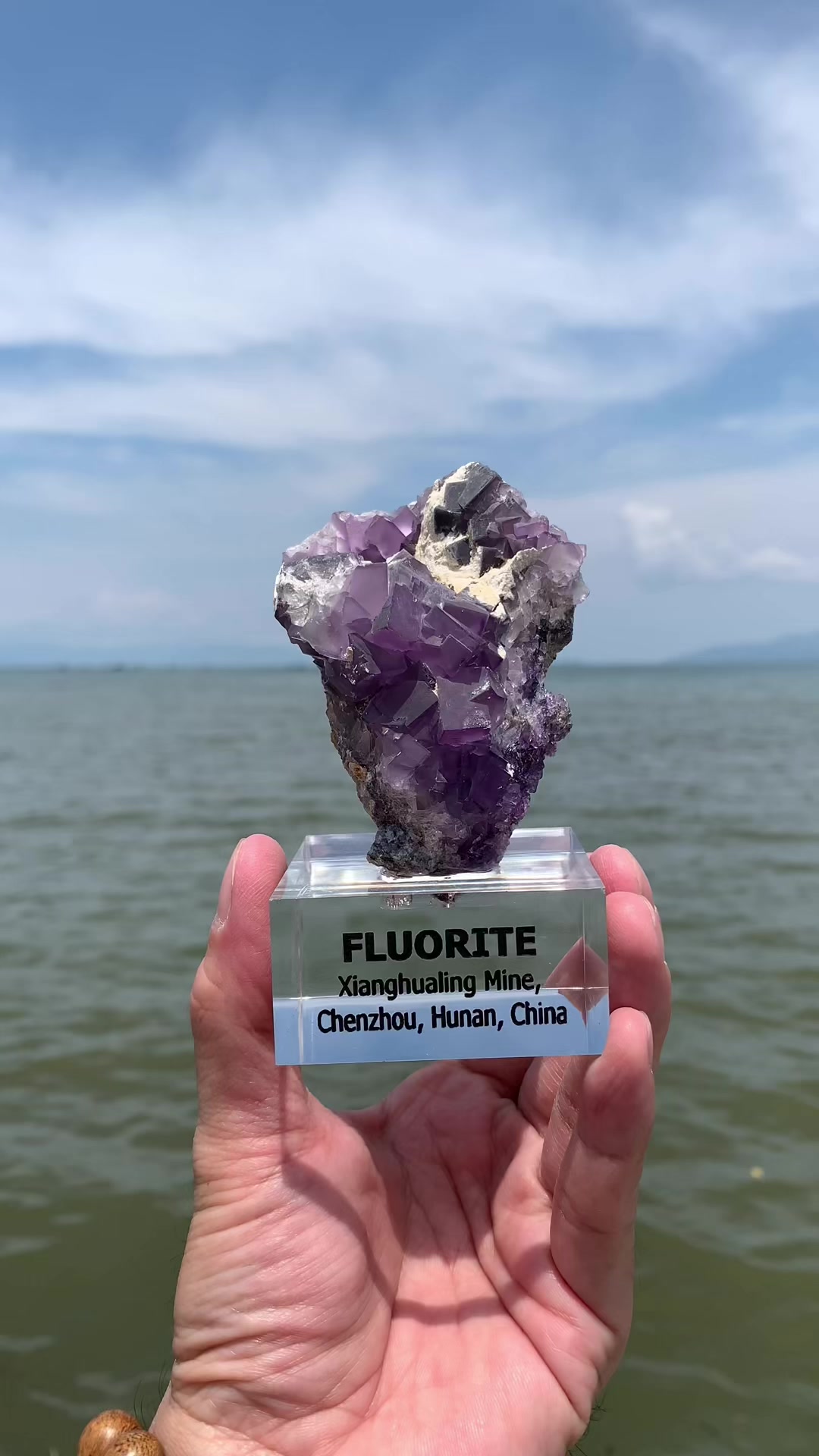 @Pocket of Crystals