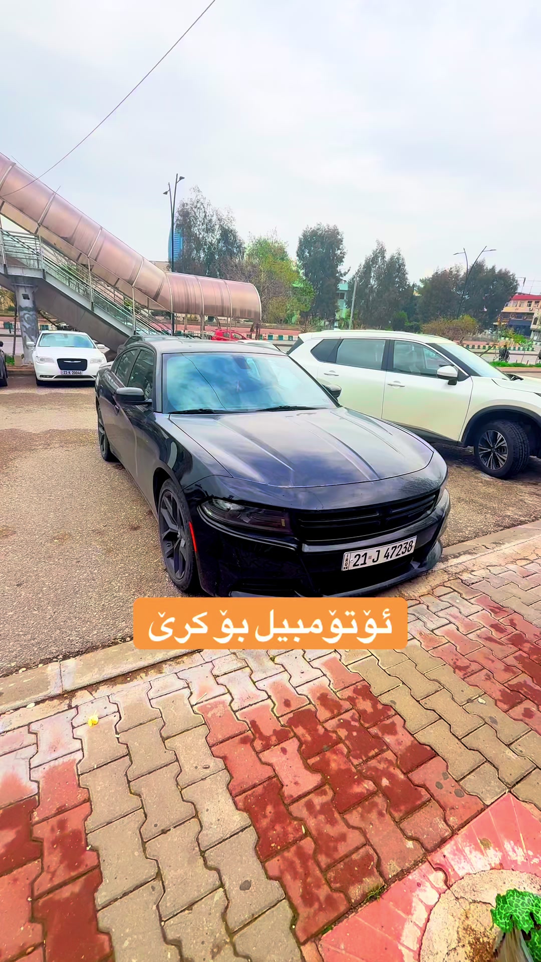 @Car For Rent 🚘سەیارە بۆ کـرێ