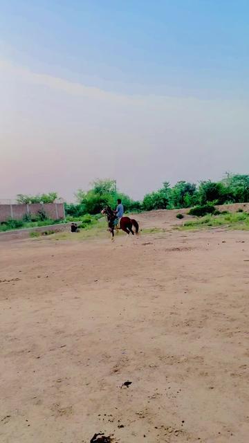 @Rai Usman