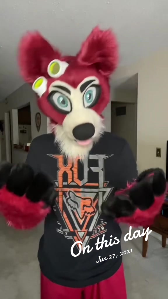 @🦊 Pete The Fox 🦊
