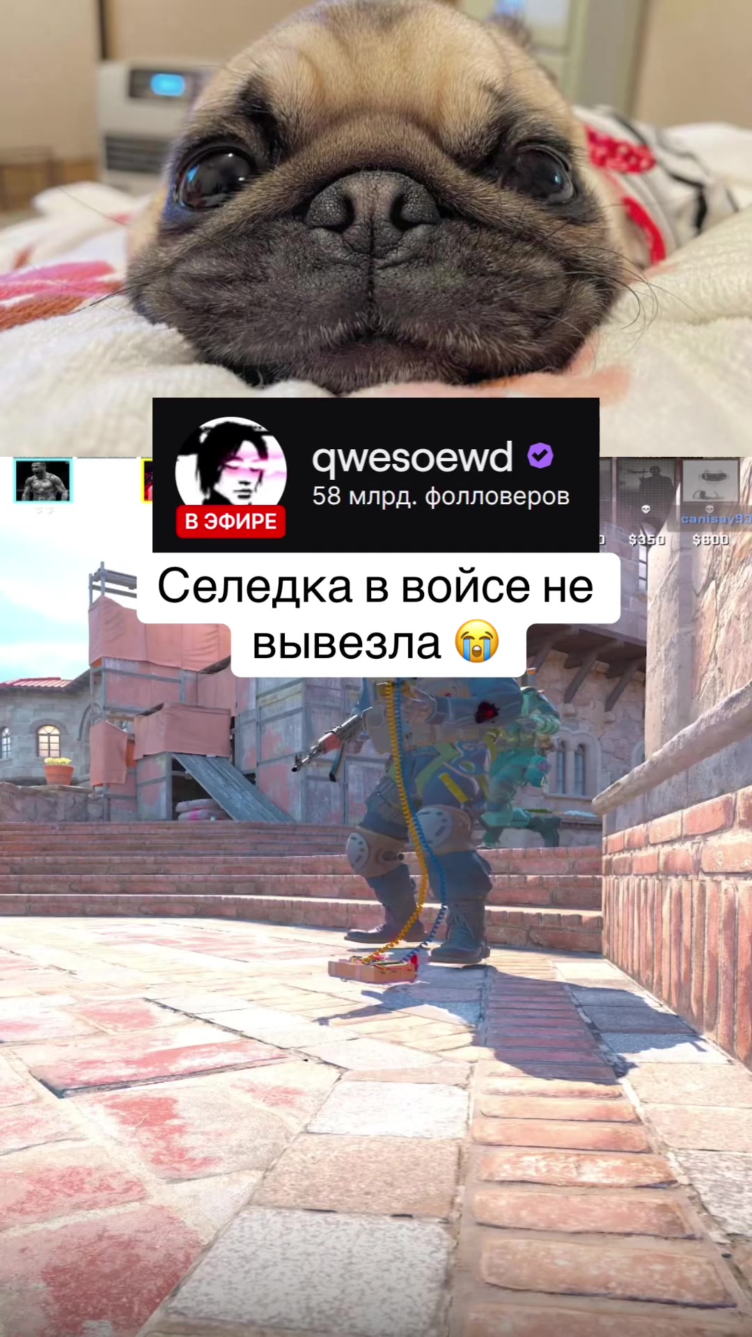 @qwesoewd_official