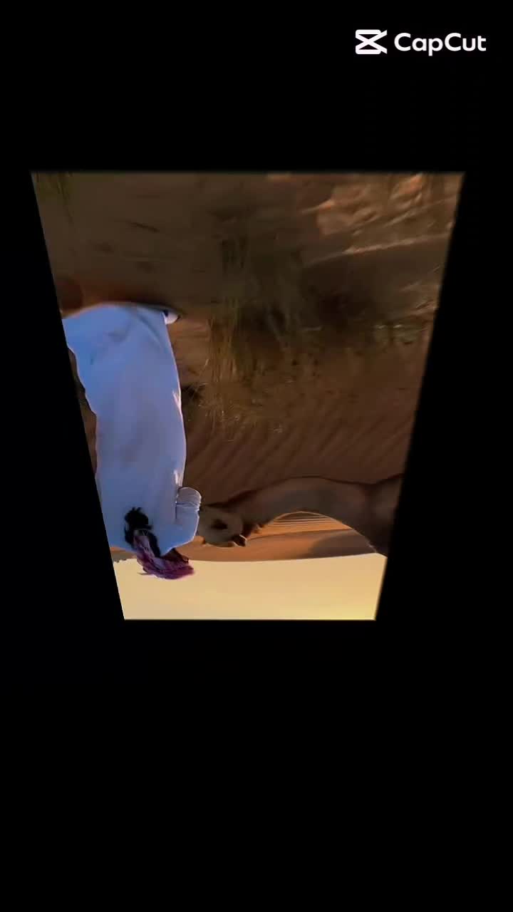 @꧁༺𝙎𝒊𝒎𝒂 سيما 🇦🇪🇮🇷༻꧂