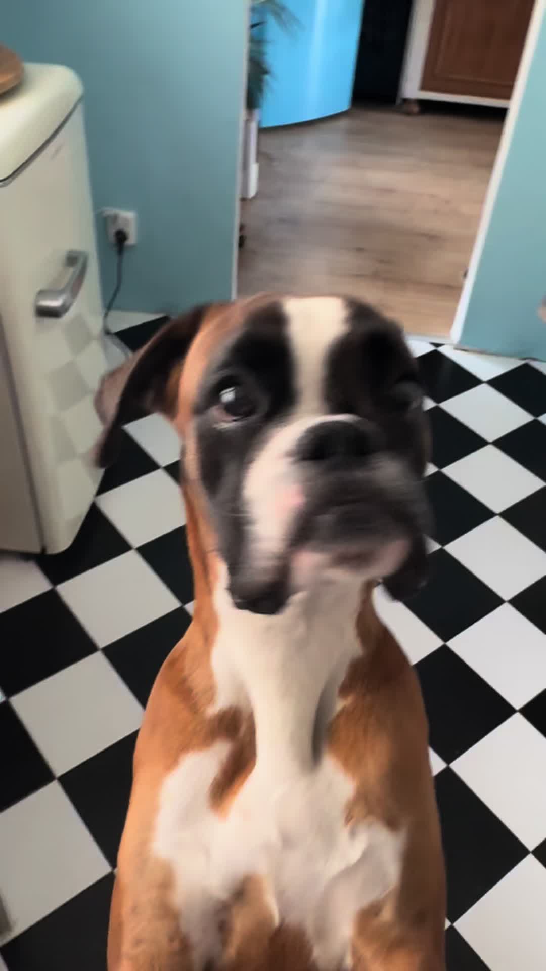 @TypischDori