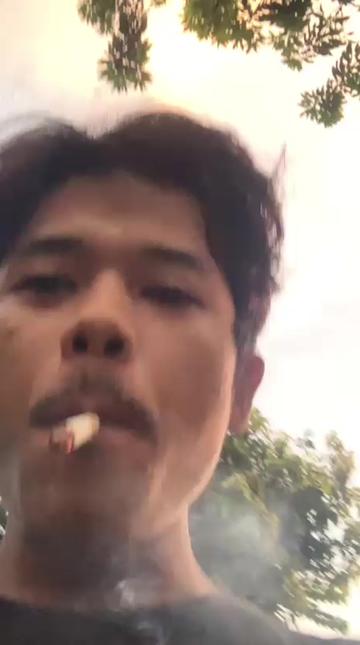@apinnn