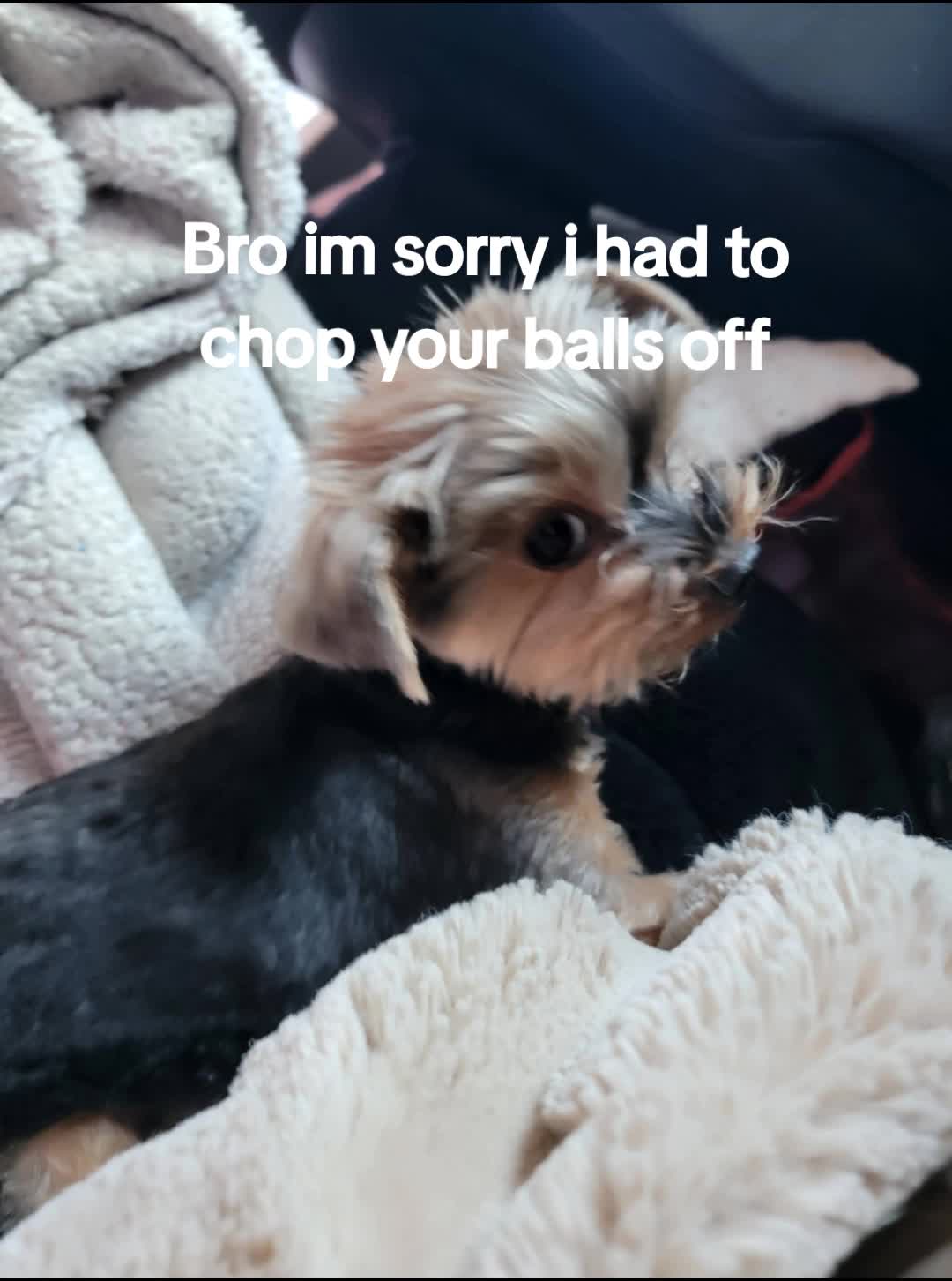 @🕴