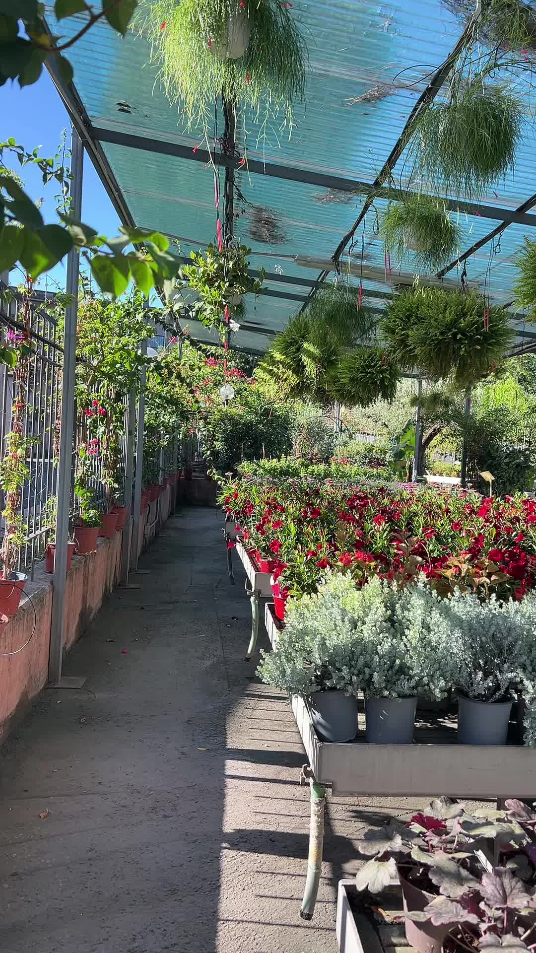 @vivaioanticogarden