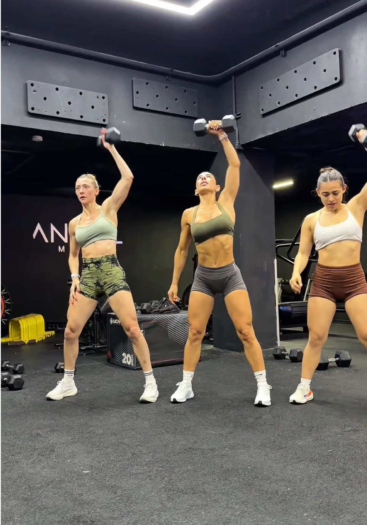 @ANIMAL MOVE