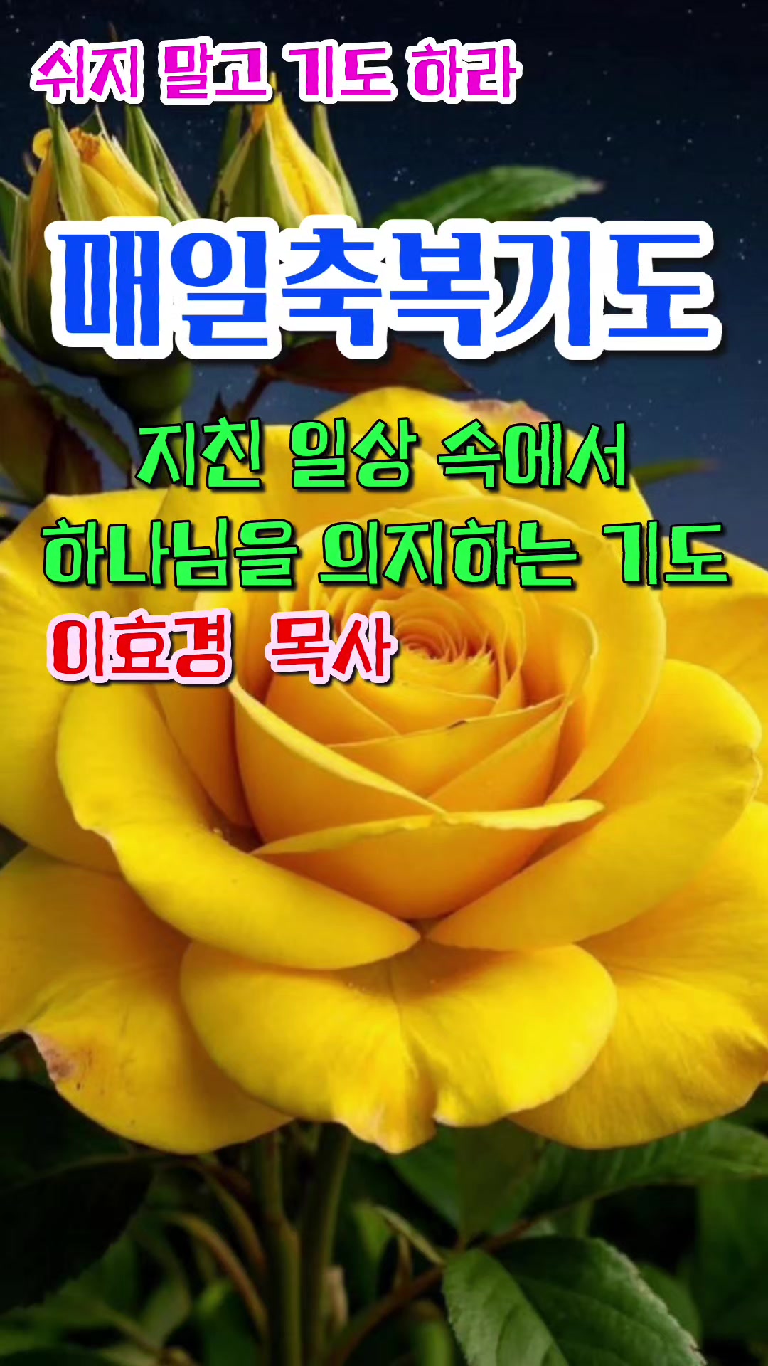 @피켓전도 김종일 목사